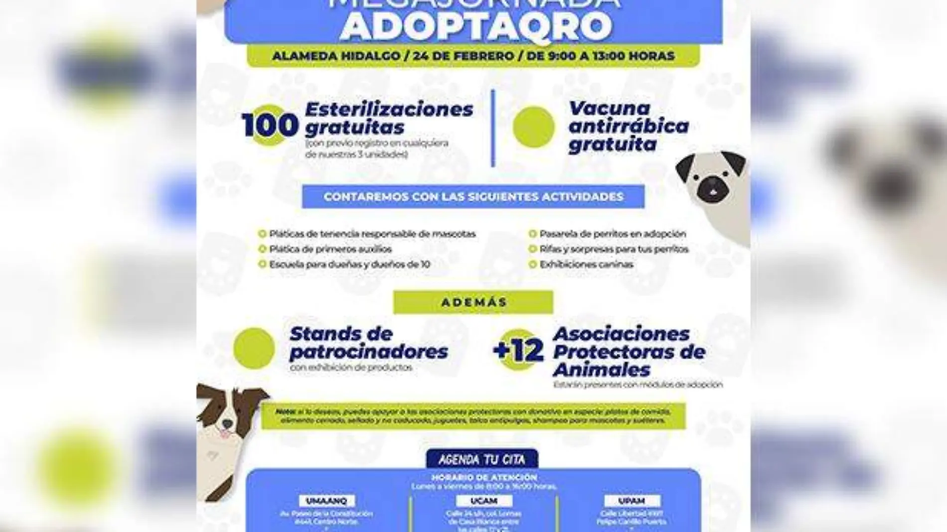 Adopción mascota 3